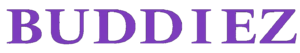 株式会社BUDDIEZ｜営業支援・IT活用支援