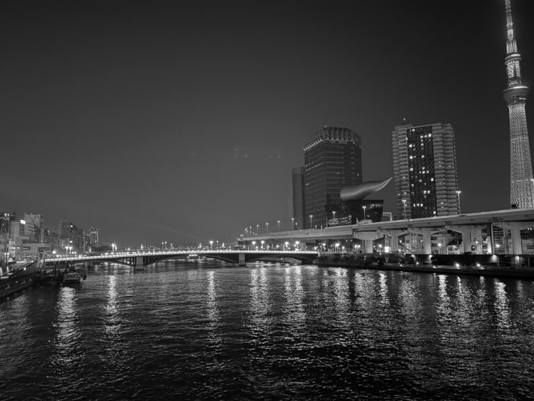 東京スカイツリー黒